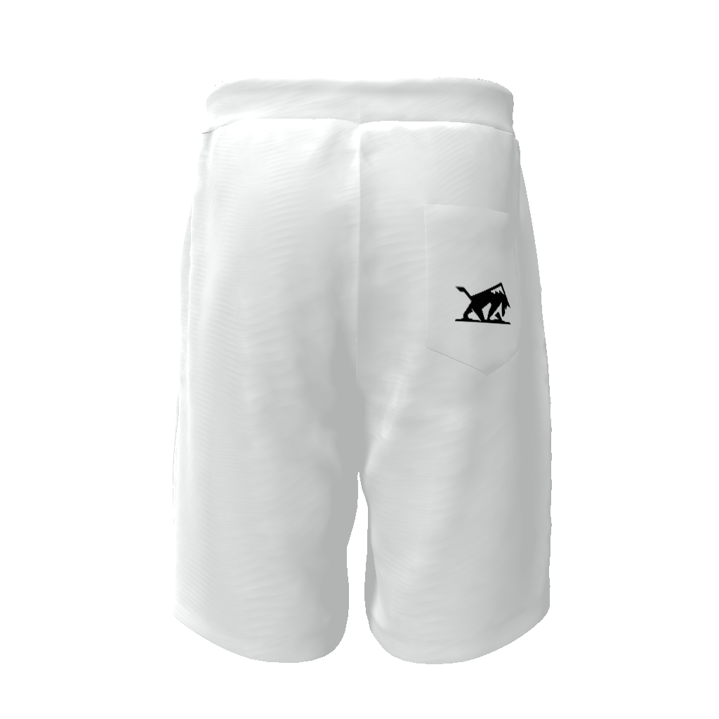 Casual mens track shorts